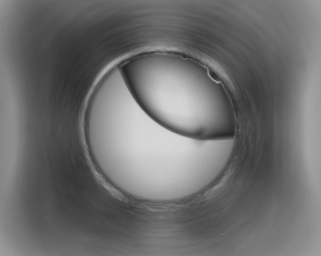 X0000116150942200911230949