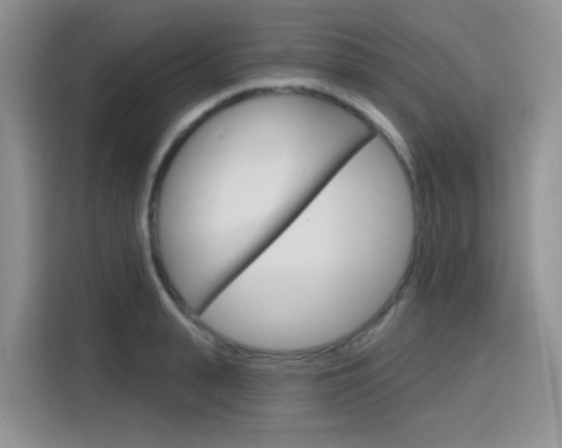 X0000116150943200911230949