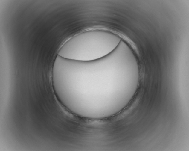 X0000116150945200911230949