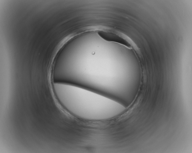 X0000116150946200911230949