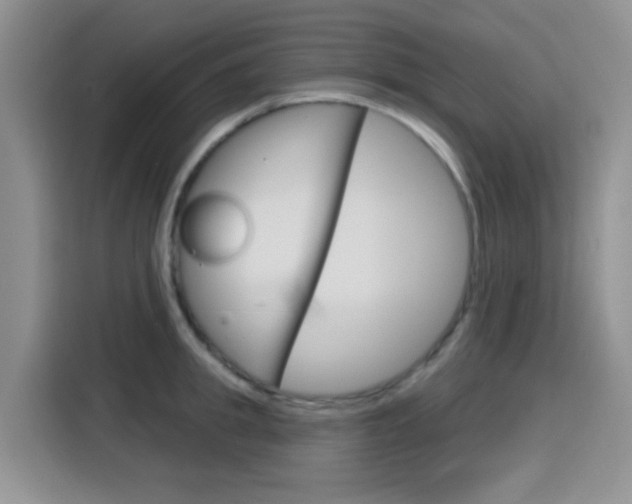 X0000116150949200911230949