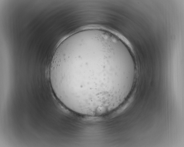 X0000116150953200911230949