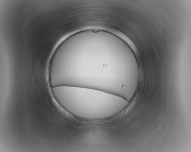 X0000116150958200911230949