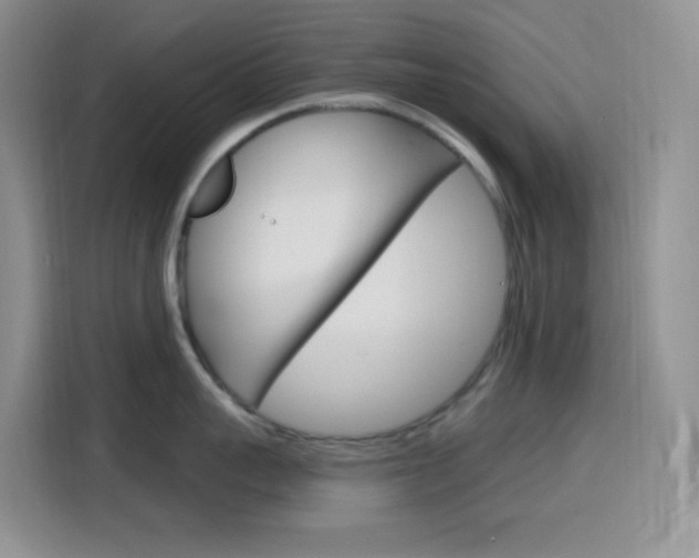 X0000116150959200911230949