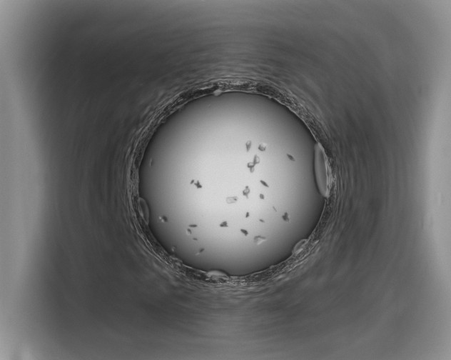 X0000116150961200911230948