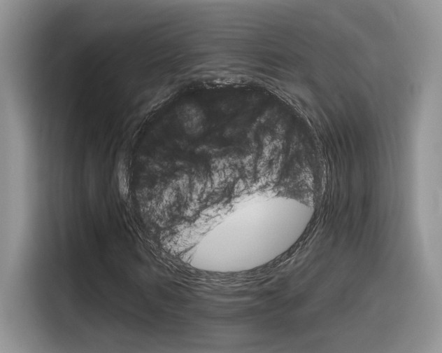 X0000116150962200911230948