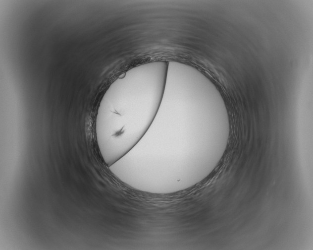 X0000116150964200911230948