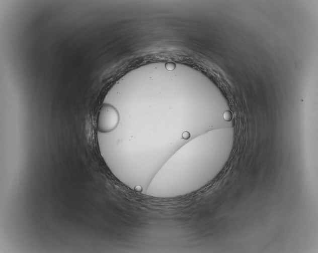 X0000116150966200911230948