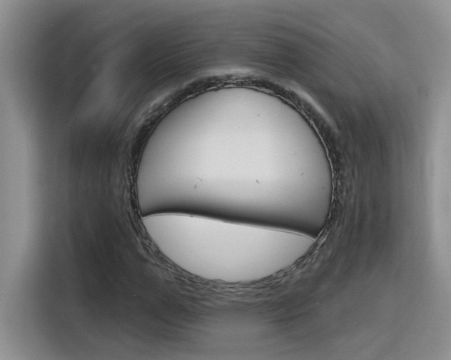 X0000116150967200911230948