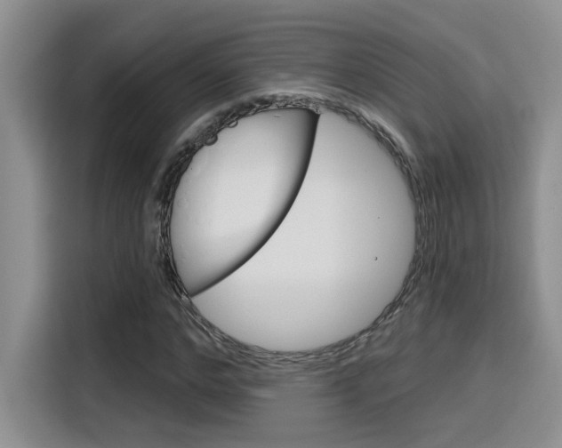 X0000116150968200911230948