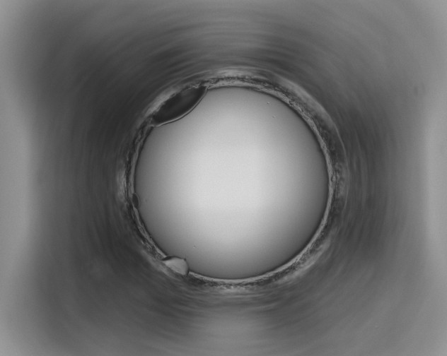 X0000116150969200911230948