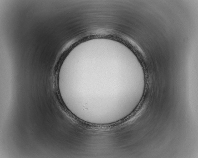 X0000116150970200911230948