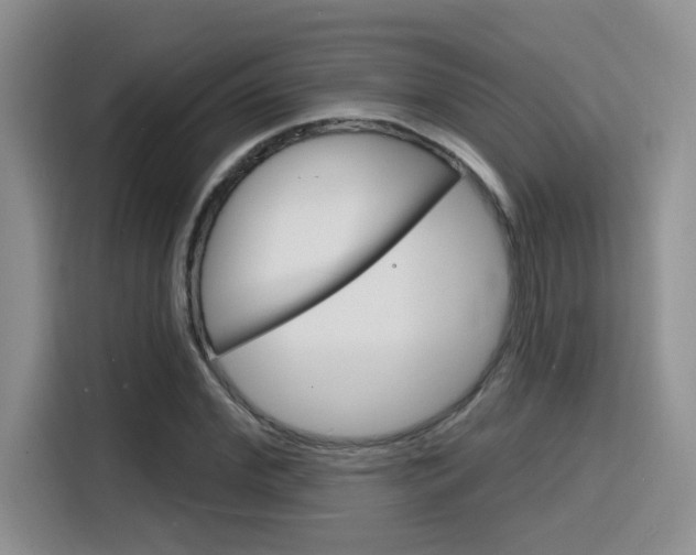 X0000116150972200911230948