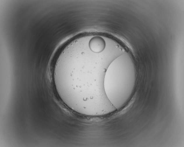 X0000116150974200911230948