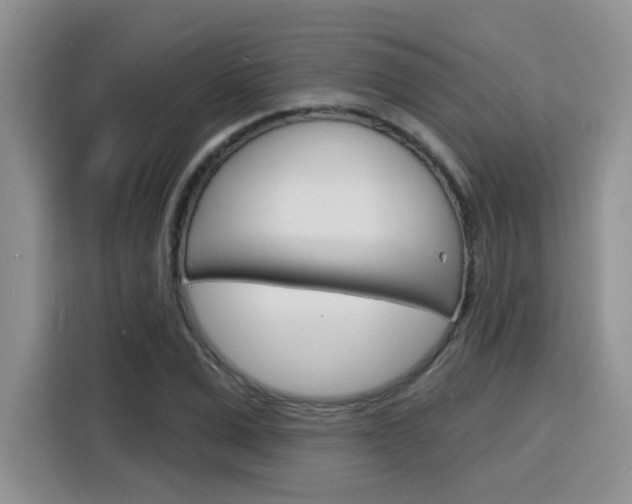 X0000116150975200911230948