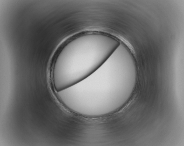 X0000116150976200911230948