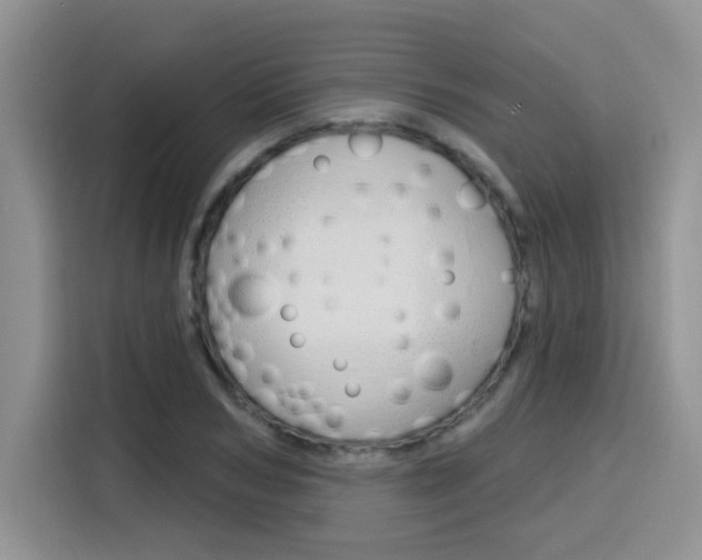 X0000116150978200911230948