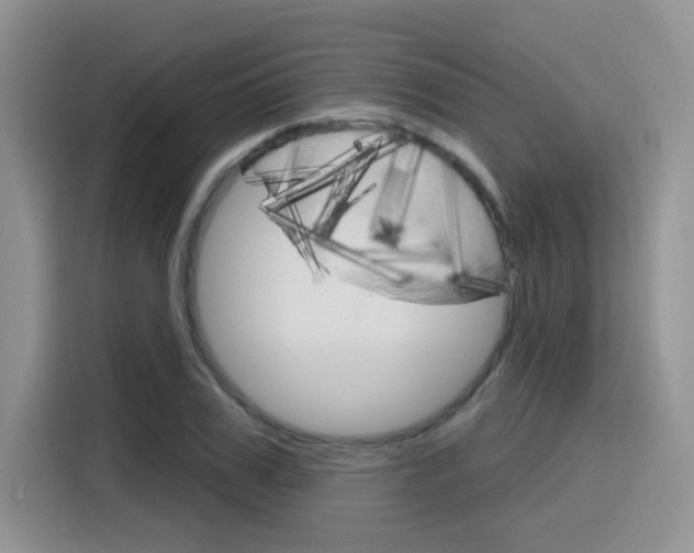 X0000116150979200911230948