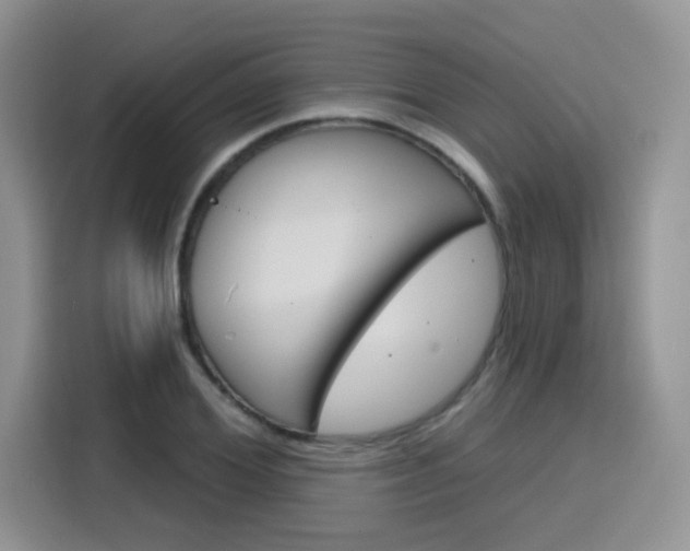 X0000116150980200911230948
