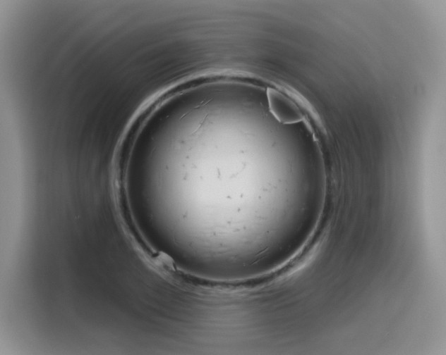 X0000116150981200911230948
