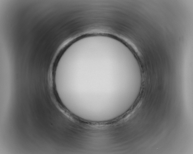 X0000116150982200911230948
