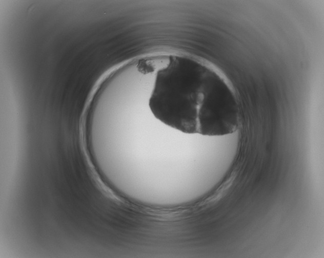 X0000116150987200911230948