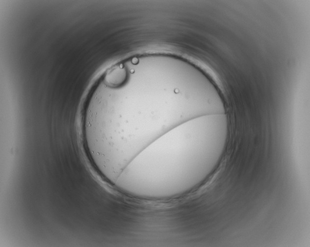 X0000116150990200911230948