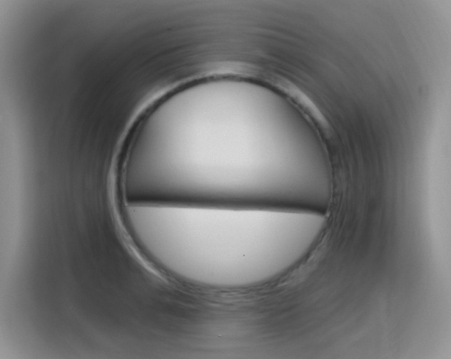 X0000116150991200911230948