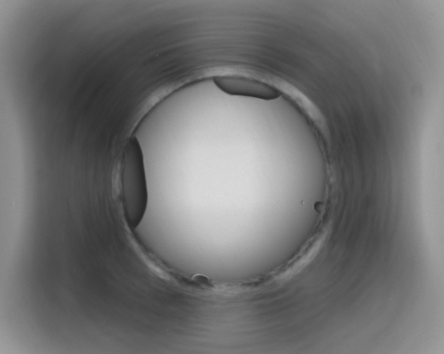 X0000116150993200911230948
