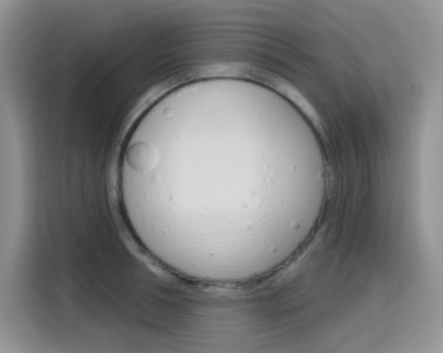 X0000116150994200911230948