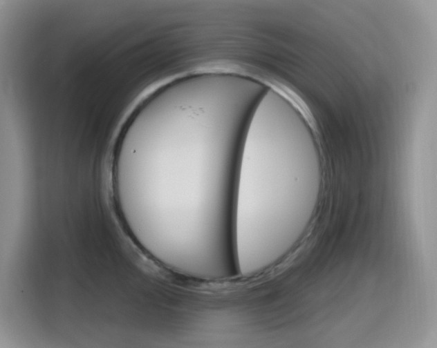 X0000116151000200911230948