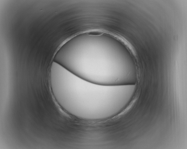 X0000116151001200911230948