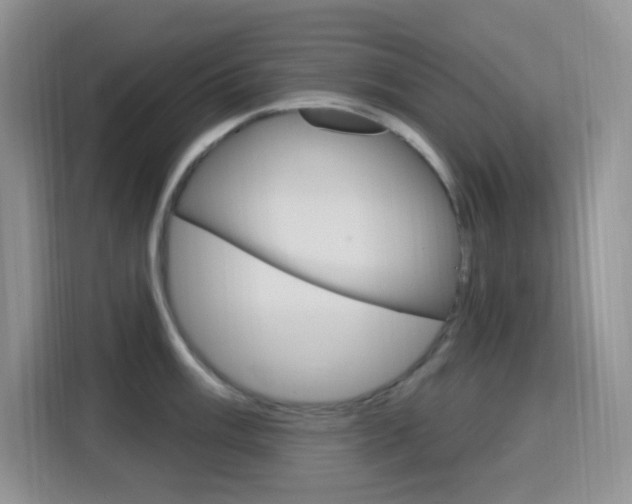 X0000116151003200911230948