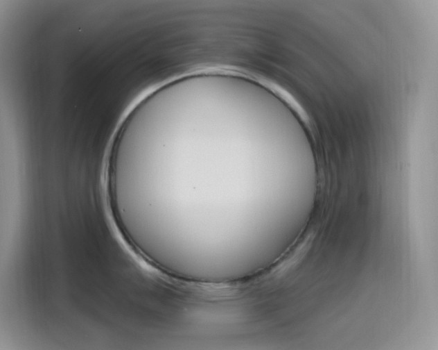 X0000116151007200911230948