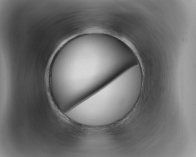 X0000116151008200911230948