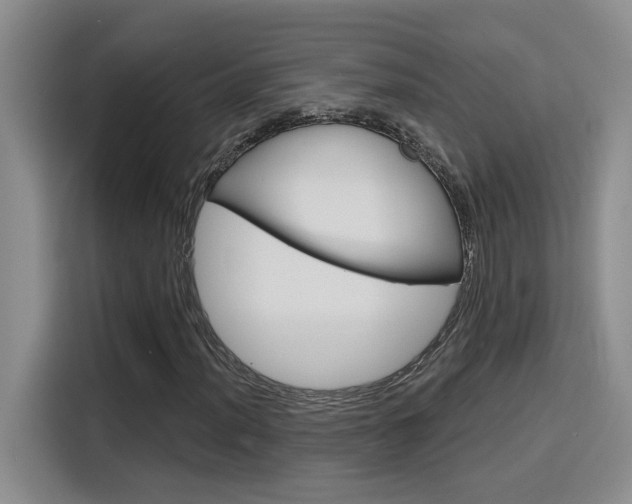 X0000116151012200911230947