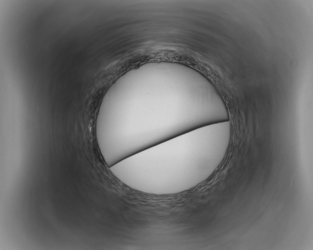 X0000116151013200911230947