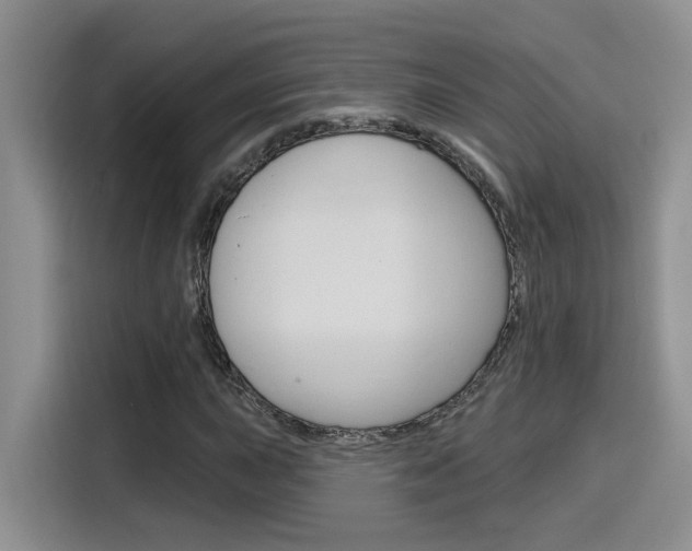 X0000116151015200911230947