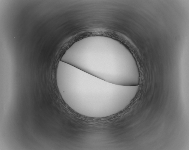 X0000116151016200911230947