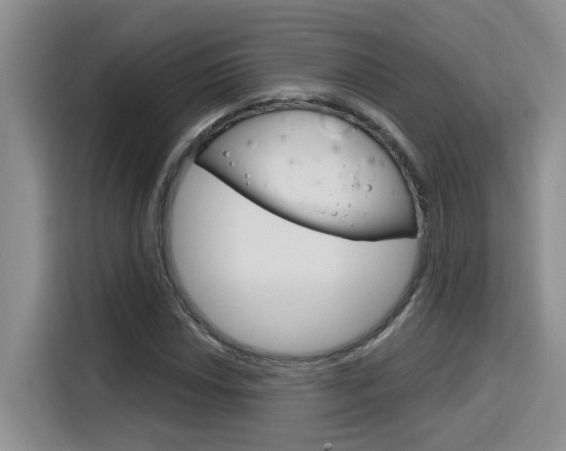 X0000116151018200911230947