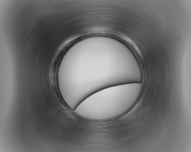 X0000116151019200911230947