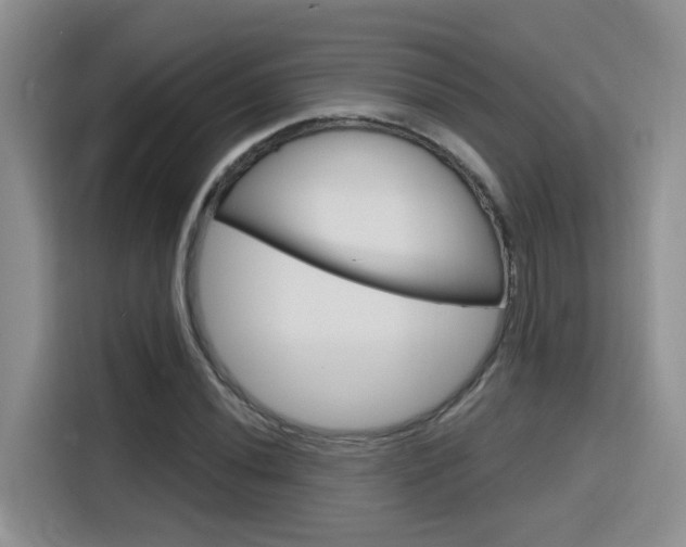 X0000116151020200911230947