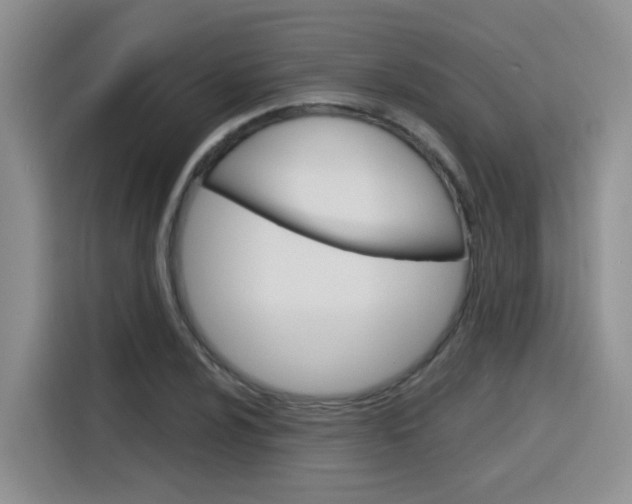 X0000116151024200911230947