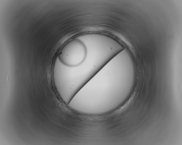 X0000116151025200911230947