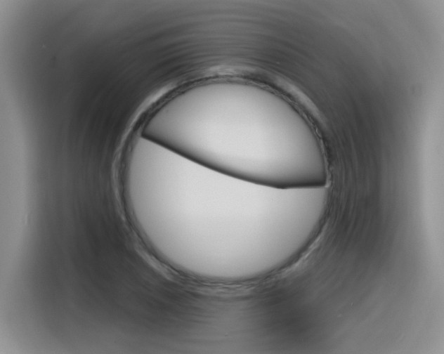 X0000116151026200911230947