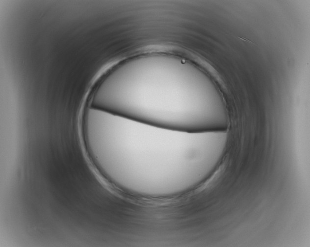 X0000116151034200911230947