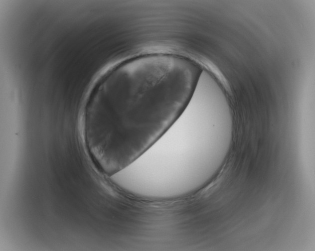 X0000116151035200911230947