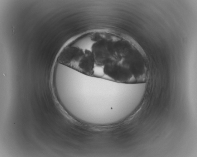 X0000116151036200911230947