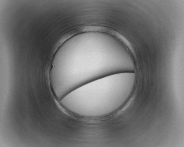 X0000116151041200911230947