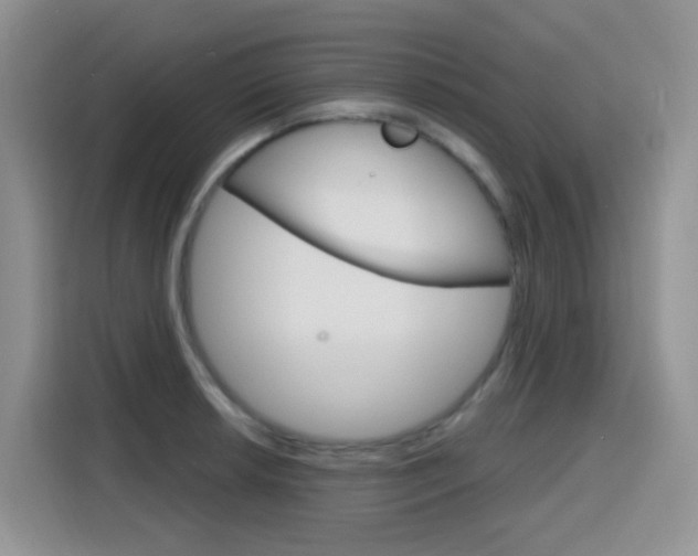 X0000116151042200911230947